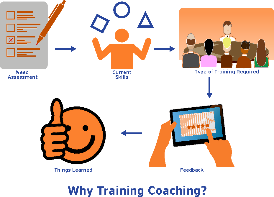 Training Process