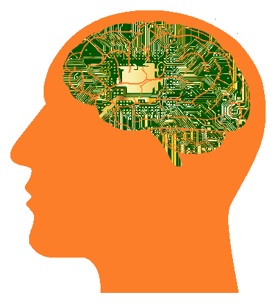 Human brain and neural network